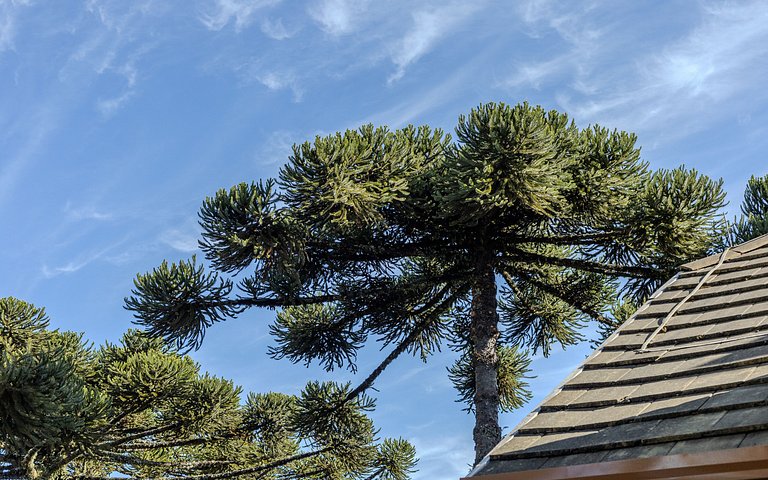 Alto padrão - Apto com banheira em Gramado